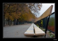 071103 - Canon 400D + MC Flektogon 35mm f/2.4 - bIMG_5095